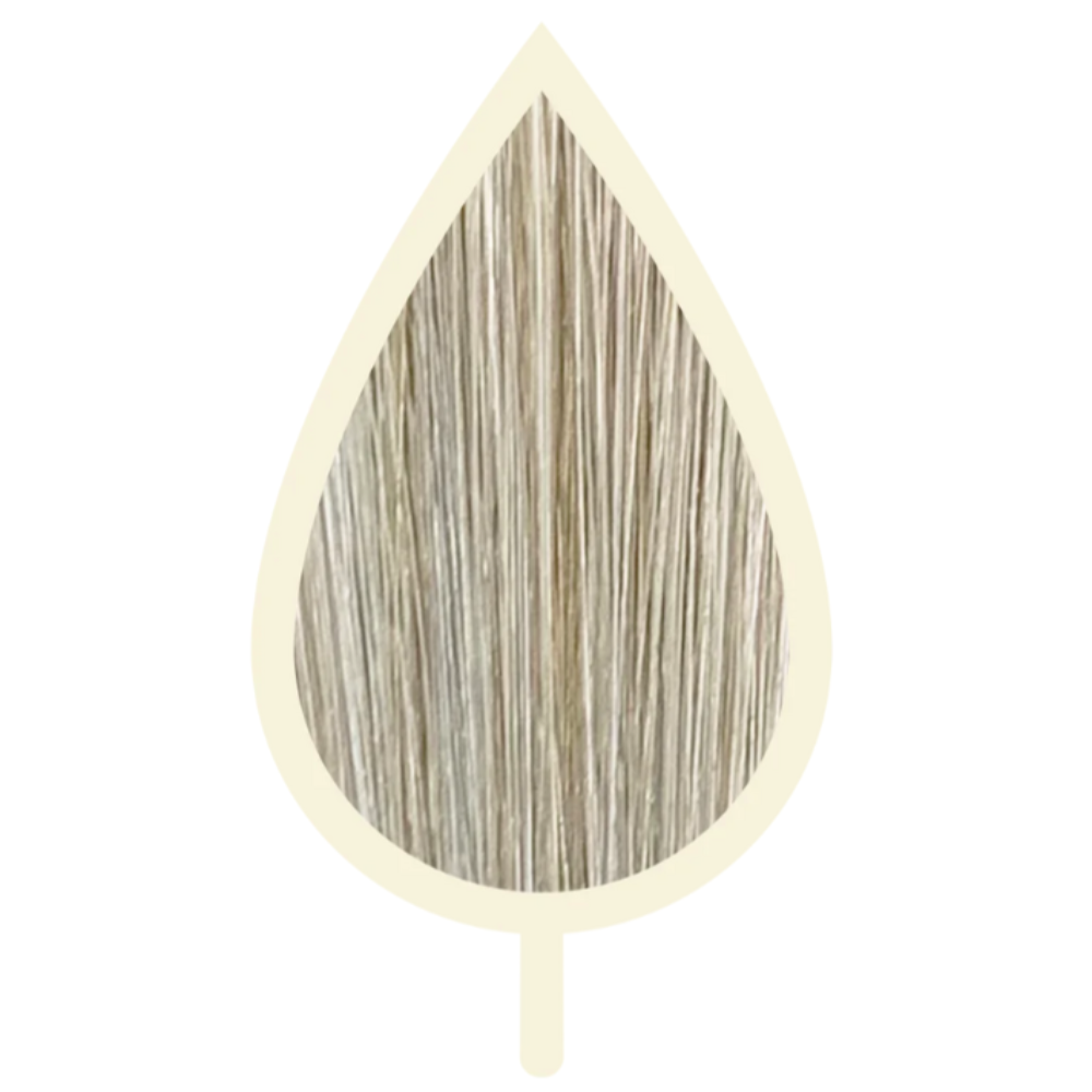 10.01 NATURAL ASH EXTRA LIGHT BLONDE