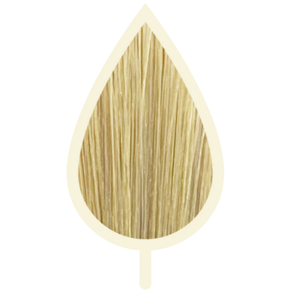 10.03 BEIGE EXTRA LIGHT BLONDE