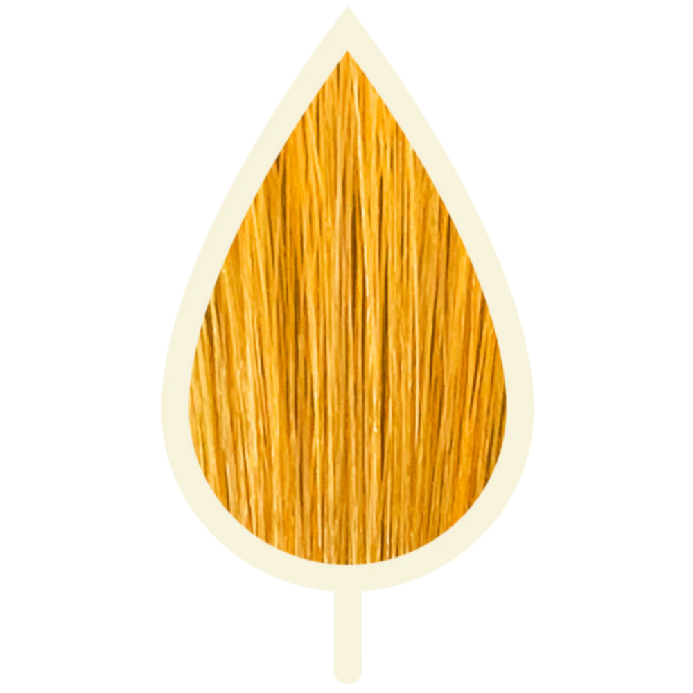 10.33 INTENSE GOLD EXTRA LIGHT BLONDE