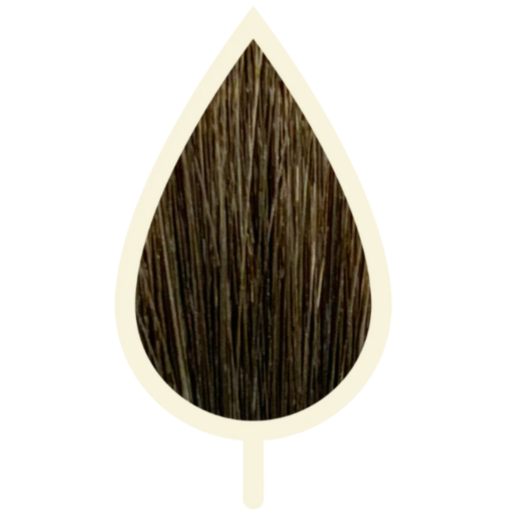 5.01 NATÜRLICHES ASH LIGHT BROWN