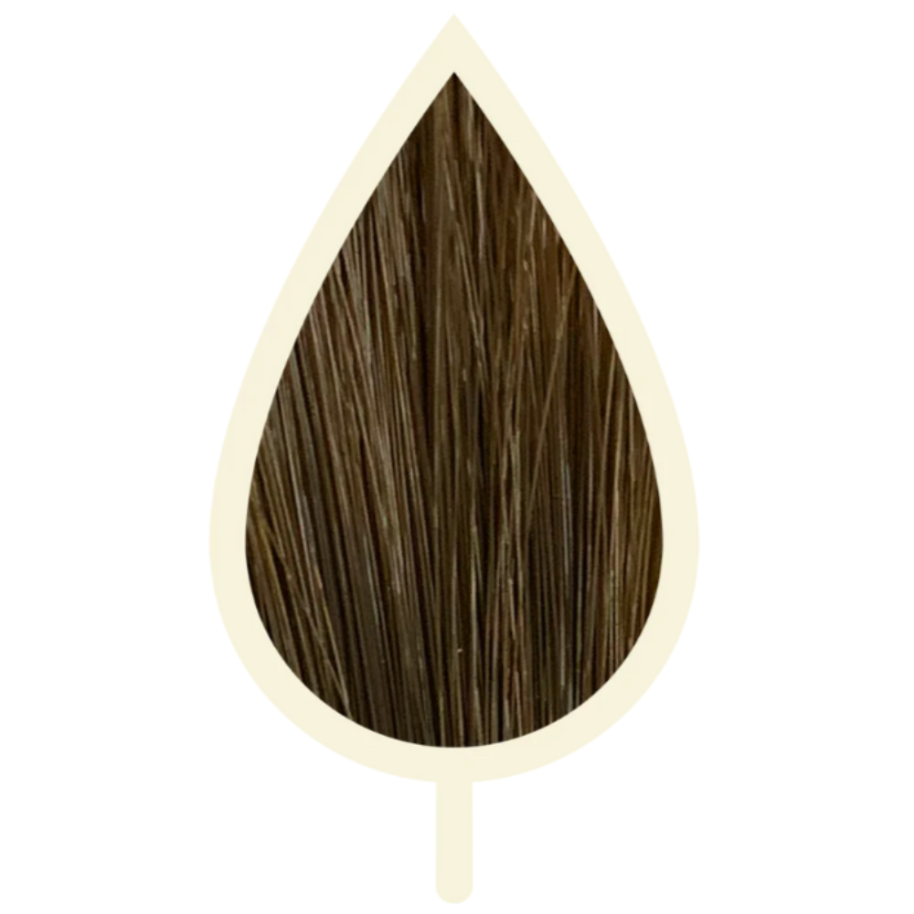 5.02 PERLE LICHTBRAUN