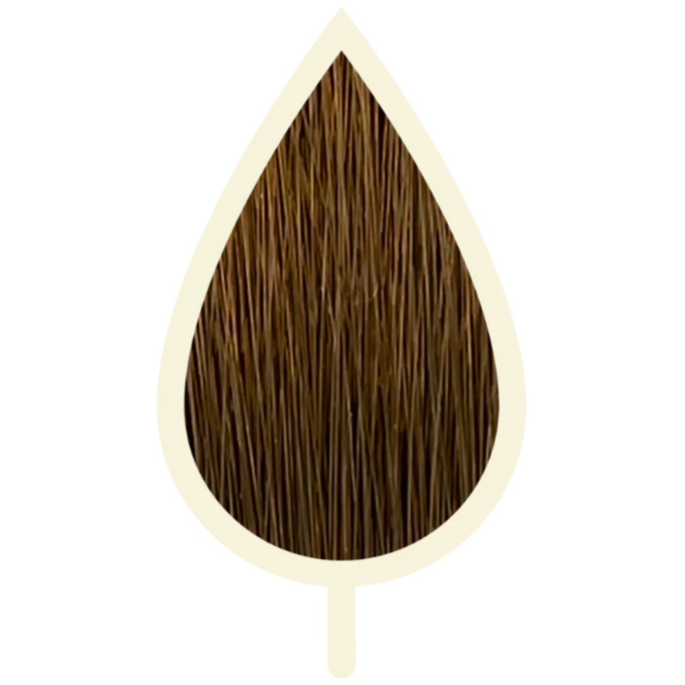 5.03 MOCHA HELLBRAUN