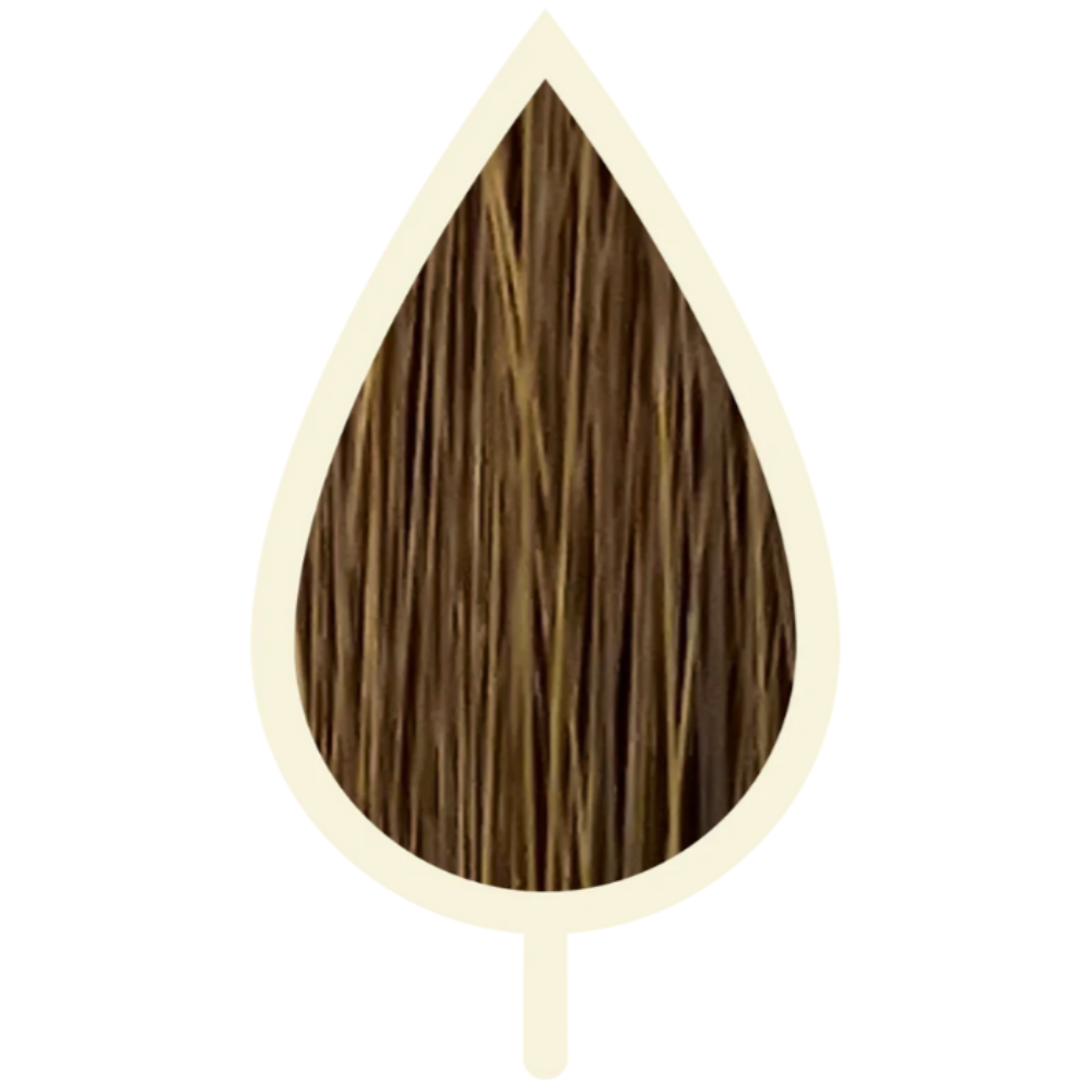 5.13 WALNUSS HELLBRAUN