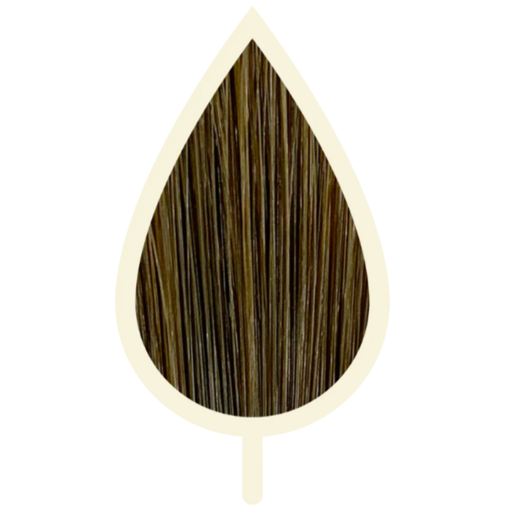 6.01 NATÜRLICH ASH DUNKELBLOND