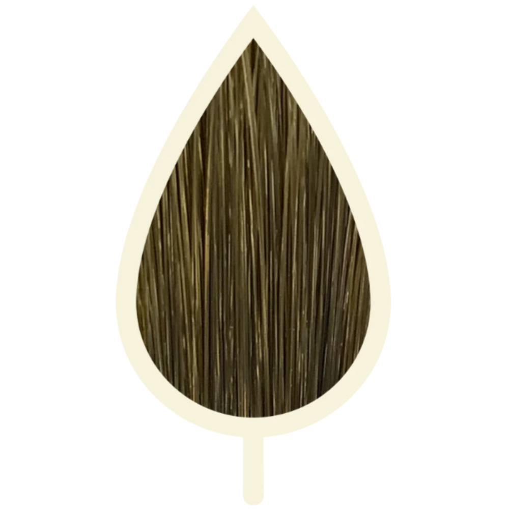 6.02 PERLE DUNKELBLOND