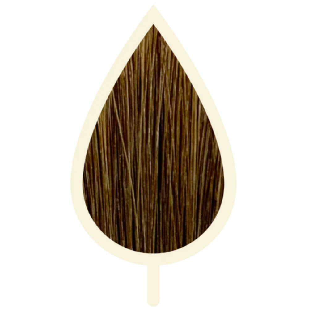 6.03 BEIGE DUNKELBLOND