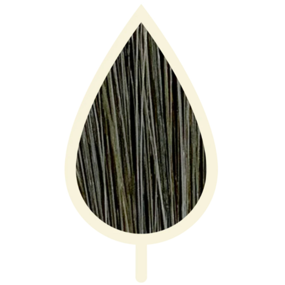 6.11 INTENSIVES ASH DUNKELBLOND