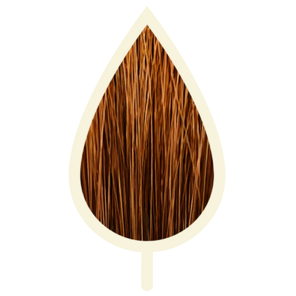 7.24 ERRÖTETE KUPFERBLONDE