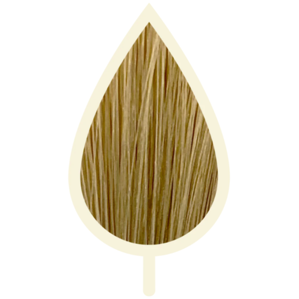 8.01 NATÜRLICH ASH LIGHT BLOND