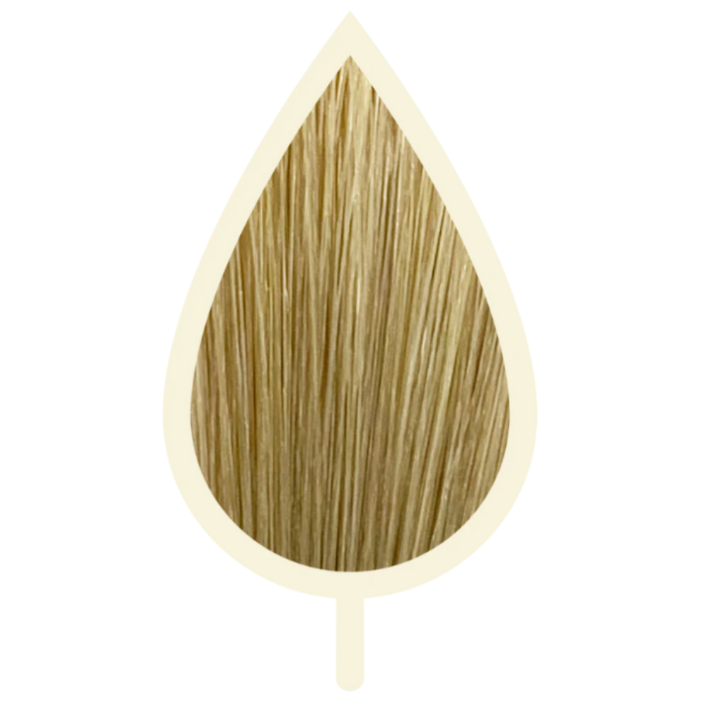 8.03 BEIGE HELLBLOND