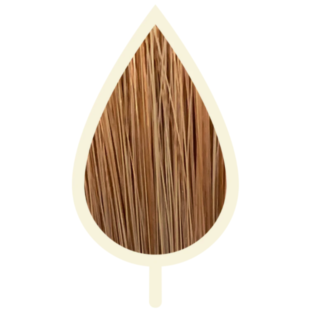 8.143 GEFRORENES KASTANIENHELLBLAOND