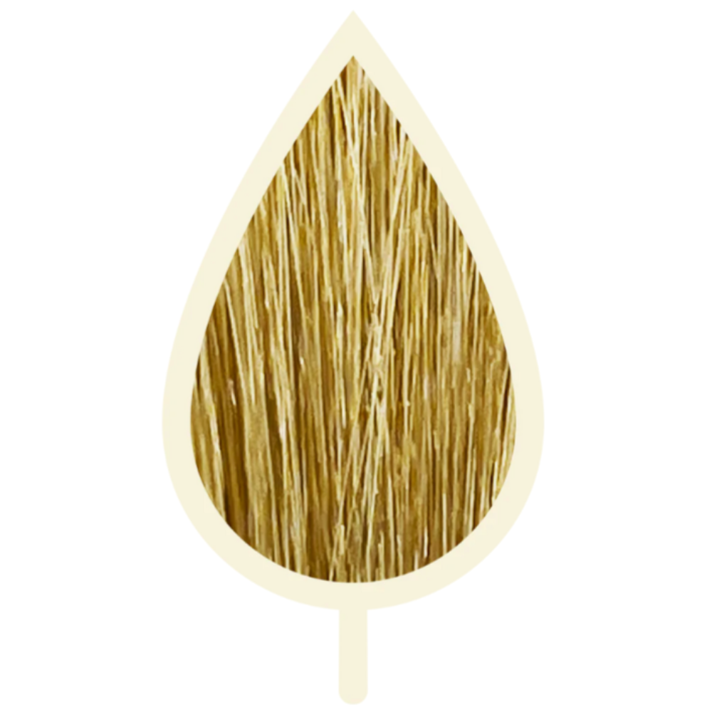 8.32 GOLDEN BEIGE HELLBLOND