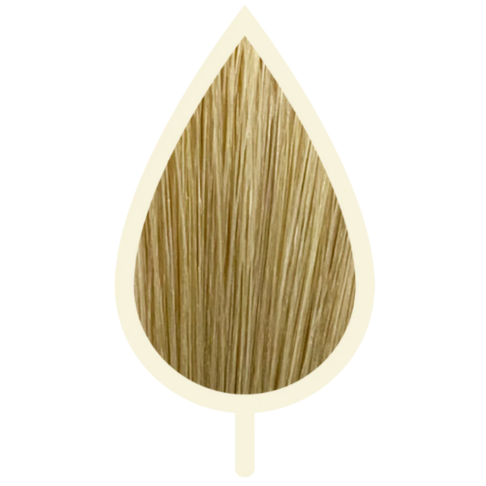 9.03 BEIGE SEHR HELL BLOND