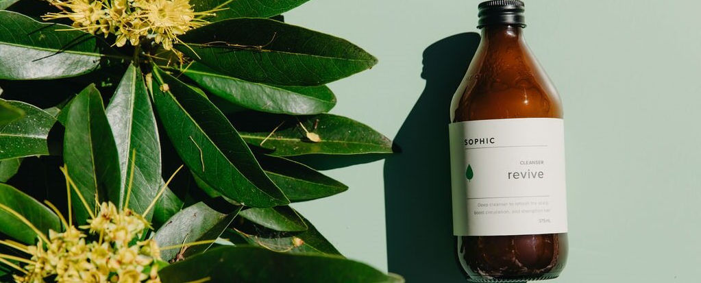 What’s Really in Your Haircare? How to Read (and Trust) an Ingredients Label